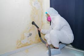 Best Biohazard Mold Removal  in Moon Lake, FL